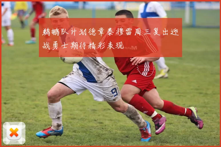 鹈鹕队计划德章泰穆雷周三复出迎战勇士期待精彩表现